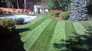 landscape maintenance NH