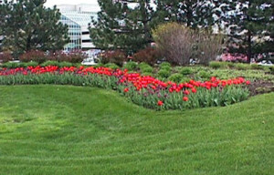 commercial landscaping services NH